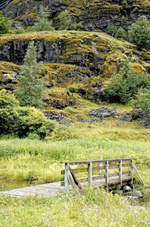 Téléchargez les photos : Destination voyage au nord de l'Europe : Vue sur le paysage de Flam, Norvège. Belle vue sur le paysage norvégien de Flam. 15 juillet 2012 - en image libre de droit