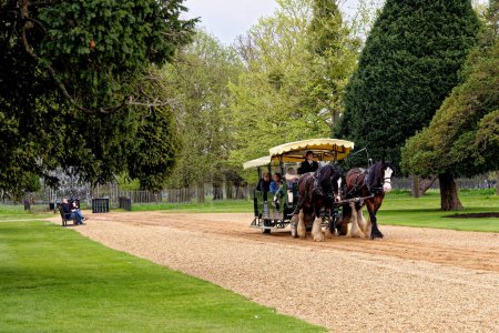 Foto de Shire Horses tirando de carruajes turísticos - Hampton Court Palace, Londres, Inglaterra, Reino Unido. 22 de abril de 2023 - Imagen libre de derechos