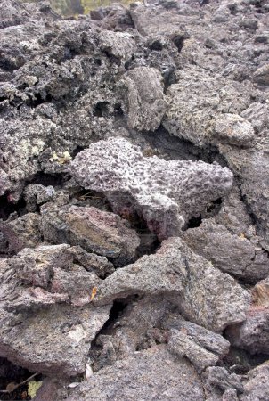 Foto de Primer plano de lava solidificada, Parque Nacional Volcanes de Hawái, Islas Hawái, EE.UU. - Imagen libre de derechos