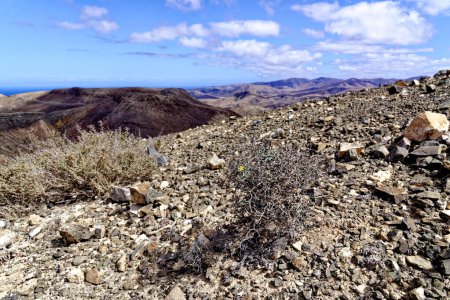 Foto de Vista panorámica del paisaje desde el mirador astronómico de Sicasumbre entre Pajara y La Pared en Canarias Fuerteventura, España - 20.09.2023 - Imagen libre de derechos