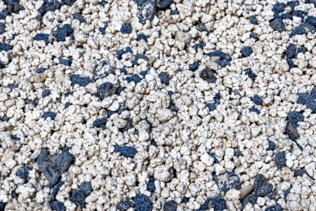 Foto de Contraste de guijarros volcánicos negros y pedazos blancos de corales triturados, que tienen forma de palomitas de maíz - Playa del Mejillón o Playa del Bajo de la Burra, llamada Popcorn Beach - España, Islas Canarias, Fuerteventura. 24.09.2023 - Imagen libre de derechos