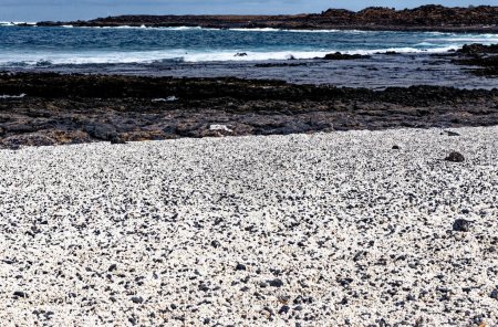 Photo for Playa del Mejillon or Playa del Bajo de la Burra, called Popcorn Beach - Spain, Canary Islands, Fuerteventura. 24.09.2023 - Royalty Free Image