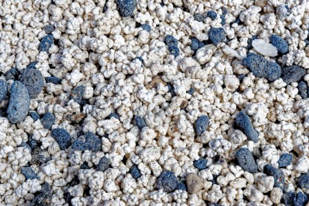 Foto de Contraste de guijarros volcánicos negros y pedazos blancos de corales triturados, que tienen forma de palomitas de maíz - Playa del Mejillón o Playa del Bajo de la Burra, llamada Popcorn Beach - España, Islas Canarias, Fuerteventura. 24.09.2023 - Imagen libre de derechos