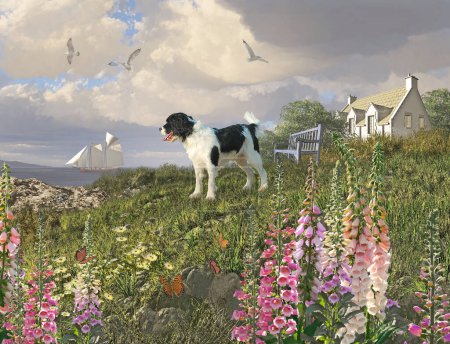 Foto de Lindo perro blanco y negro en una colina cubierta de hierba con vistas a la costa con una casa de campo junto al mar, un banco y un barco clipper en las distancias - Imagen libre de derechos