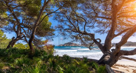 Téléchargez les photos : Large vue panoramique sur la côte de Mallorca par une journée d'été ensoleillée - en image libre de droit