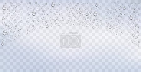 Ilustración de Gotas de agua realistas sobre el fondo transparente. Vector - Imagen libre de derechos