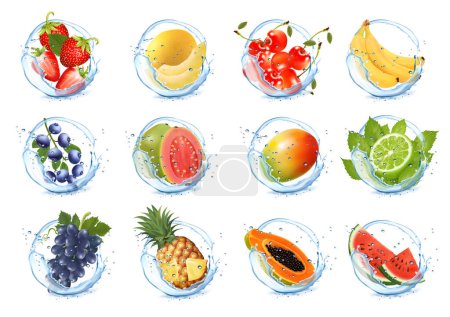 Illustration for Set of fruits and vegetables in water splashes. Mango, watermelon, cherry, blueberry,  sweet melon, pineapple, strawberry, grape. papaya, banana, guava in water splash and drops. Vector illustration. - Royalty Free Image