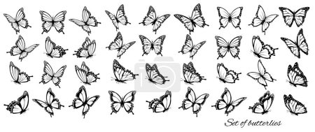 Téléchargez les illustrations : Ensemble de papillons, volant dans différentes directions. Silhouette de papillon. Vecteur. - en licence libre de droit