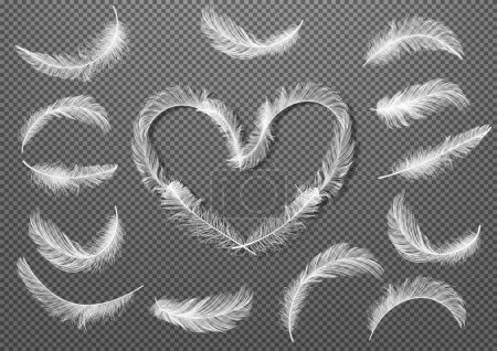 Photo for Big Set of White Realistic Different Fluffy Twirled Falling Feathers Isolated on Transparency Grid Background. Feathers collected in the shape of a heart. Vector illustrtion - Royalty Free Image