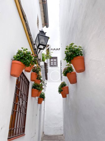 Escena callejera con arquitectura tradicional andaluza en la histórica ciudad de Córdoba, España.