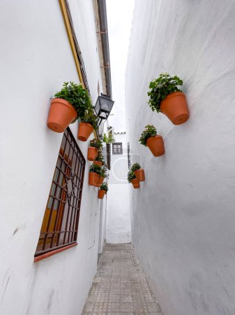 Street scene with traditional Andalucian architecture in the historical city of Cordoba, Spain.