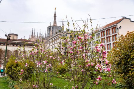 Blühende Bäume im Frühling und die Straßen der Stadt Mailand im defokussierten Hintergrund.
