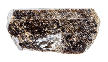 Téléchargez les photos : Gros plan de l "échantillon de pierre naturelle de la collection géologique - cristal de tourmaline brun dravite non poli isolé sur fond blanc de Chine - en image libre de droit