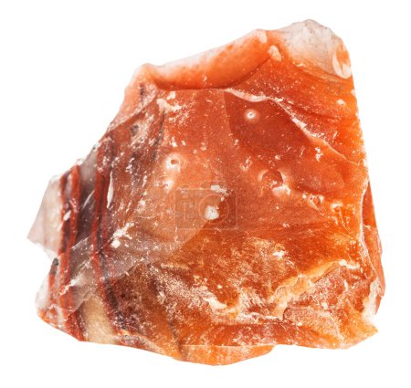 Téléchargez les photos : Gros plan de l'échantillon de pierre naturelle de la collection géologique - calcédoine rouge non polie minérale isolée sur fond blanc de Jambul, Kazakhstan - en image libre de droit