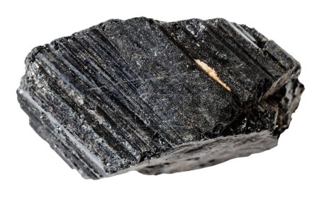 Photo for Close up of sample of natural stone from geological collection - raw black tourmaline (schorl) mineral isolated on white background - Royalty Free Image
