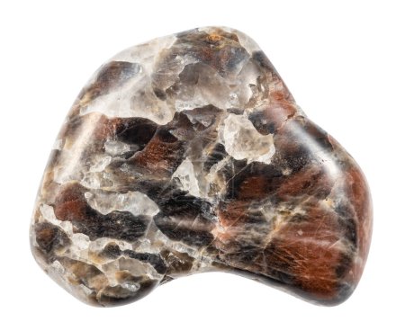 Nahaufnahme von Natursteinproben aus der geologischen Sammlung - poliertes Monzonit-Mineral isoliert auf weißem Hintergrund aus dem Gebiet Irkutsk