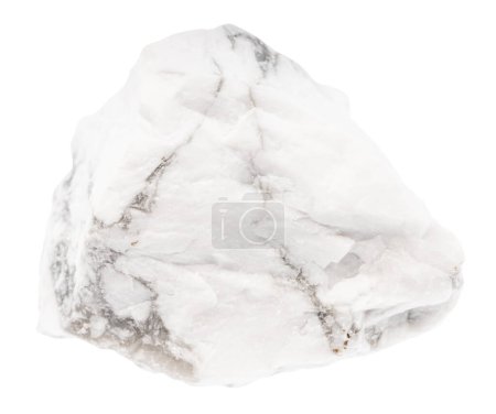 Photo for Close up of sample of natural stone from geological collection - raw howlite mineral isolated on white background - Royalty Free Image