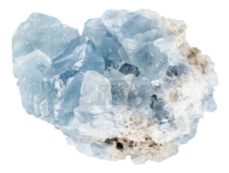 Téléchargez les photos : Close up of sample of natural stone from geological collection - raw celestite mineral crystals isolated on white background from Madagascar - en image libre de droit
