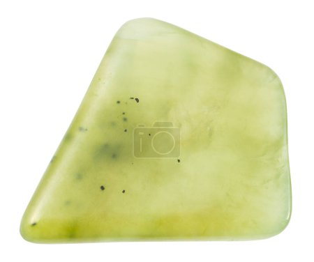 Photo for Close up of sample of natural stone from geological collection - polished light green nephrite gemstone isolated on white background from Sayan Mountains, Eastern Siberia - Royalty Free Image