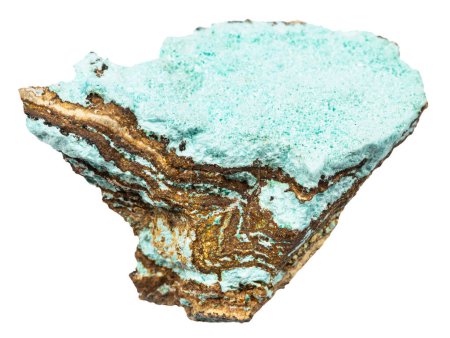 Téléchargez les photos : Gros plan de l'échantillon de pierre naturelle provenant de la collecte géologique - aurichalcite brute minérale isolée sur fond blanc de Dalnegorsk, Primorye - en image libre de droit