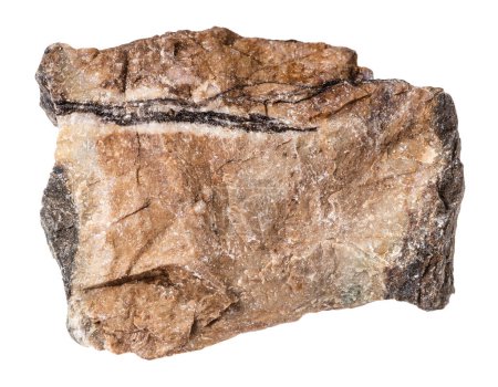 Téléchargez les photos : Gros plan de l "échantillon de pierre naturelle de la collection géologique - minéral de rhodonite non poli isolé sur fond blanc - en image libre de droit