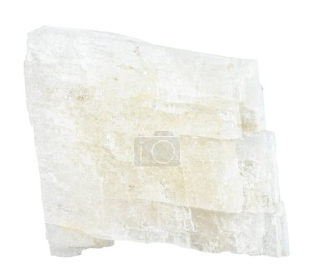 Photo for Close up of sample of natural stone from geological collection - unpolished colorless calcite mineral isolated on white background from Dalnegorsk, Primorye - Royalty Free Image
