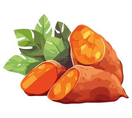 Illustration for Sweet potatoes design over white - Royalty Free Image