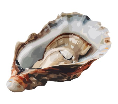Téléchargez les illustrations : Vecteur d'huîtres fraîches sur blanc - en licence libre de droit