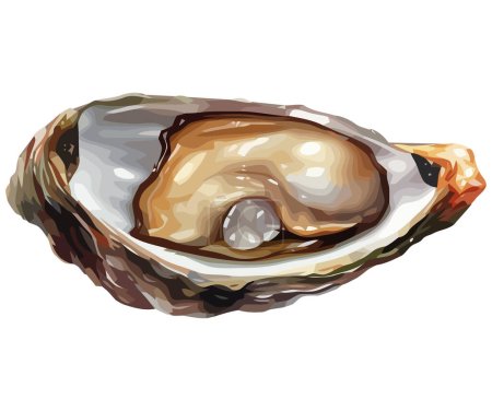 Illustration for Fresh oyster vector illustration over white - Royalty Free Image