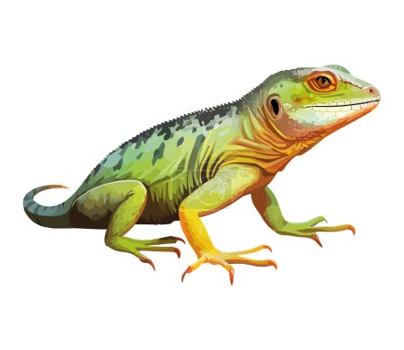 Ilustración de Gecko verde en rama en selva tropical sobre blanco - Imagen libre de derechos
