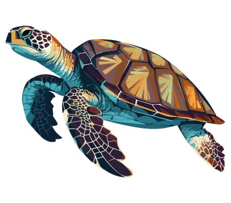 Ilustración de Reptil acuático lento con concha de color nadando sobre blanco - Imagen libre de derechos