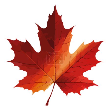 Ilustración de Hoja de arce rojo otoño sobre blanco - Imagen libre de derechos