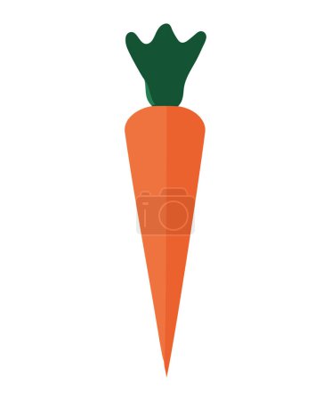 Illustration for Fresh organic carrot over white - Royalty Free Image