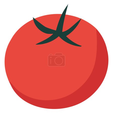 Illustration for Fresh tomato vector design over white - Royalty Free Image