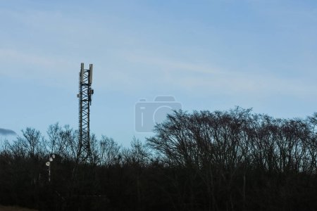 Photo for High antenna between trees on a hill with a forest and blue sky - Royalty Free Image