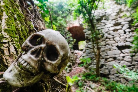 Téléchargez les photos : Petit crâne accroché à un arbre près d'un vieux château dans la forêt - en image libre de droit