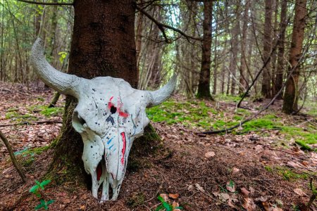 Téléchargez les photos : Crâne blanc avec des cornes d'un animal à un arbre dans la forêt - en image libre de droit