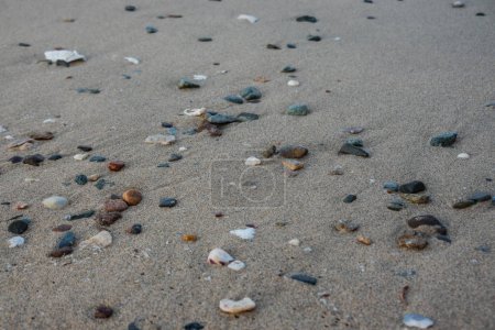 Foto de Piedras de colores y corales en la playa durante un paseo por el mar rojo en Egipto - Imagen libre de derechos