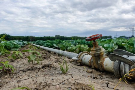 Téléchargez les photos : Asséché le sol dans un champ avec un robinet fermé problèmes avec la récolte en raison du réchauffement climatique dans le monde - en image libre de droit