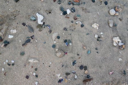 viele bunte Steinkorallen und Muscheln liegen im feinen Sand des Strandes in Ägypten