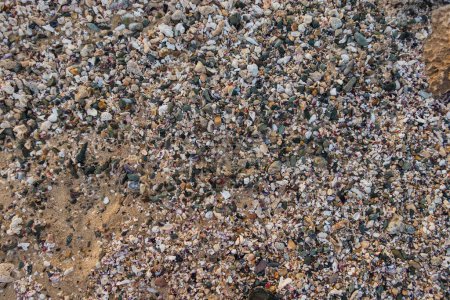 Foto de Millones de pequeñas piedras conchas y corales en la playa de vacaciones en Egipto - Imagen libre de derechos