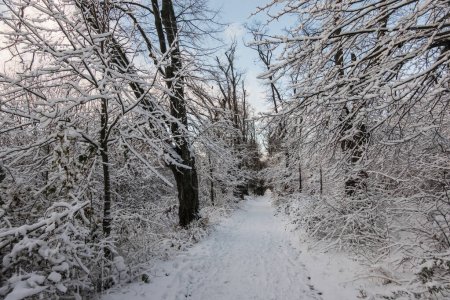 lot of snow on the path during hiking in a winter landscape