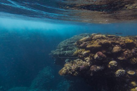 schäumendes Wasser aufgrund der starken Wellen am bunten Korallenriff