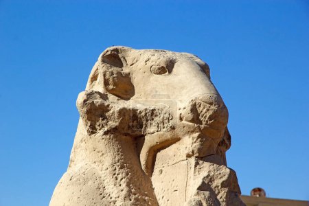 Téléchargez les photos : Statue de sphinx à tête de bélier au complexe du temple Karnak à Louxor, en Égypte. Le complexe comprend un vaste mélange de temples, de pylônes, de chapelles et d'autres bâtiments. La construction a commencé pendant le règne de Senusret I, qui a régné 1971-1926 BCE. - en image libre de droit
