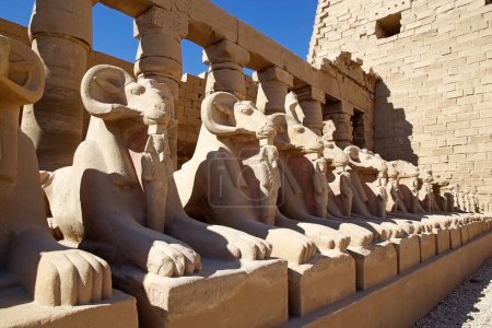 Téléchargez les photos : Statues de sphinx à tête de bélier au complexe du temple Karnak à Louxor, en Égypte. Le complexe comprend un vaste mélange de temples, de pylônes, de chapelles et d'autres bâtiments. La construction a commencé pendant le règne de Senusret I, qui a régné 1971-1926 BCE. - en image libre de droit