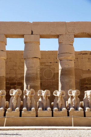 Téléchargez les photos : Statues de sphinx à tête de bélier au complexe du temple Karnak à Louxor, en Égypte. Le complexe comprend un vaste mélange de temples, de pylônes, de chapelles et d'autres bâtiments. La construction a commencé pendant le règne de Senusret I, qui a régné 1971-1926 BCE. - en image libre de droit