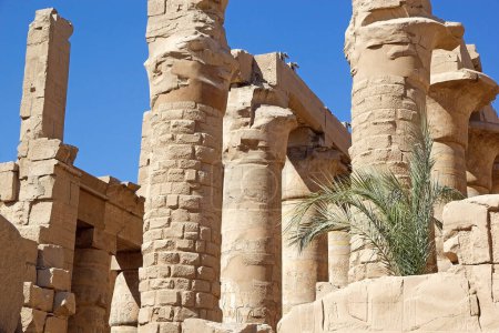 Téléchargez les photos : Le complexe du temple Karnak à Louxor, en Égypte. Le complexe comprend un vaste mélange de temples, de pylônes, de chapelles et d'autres bâtiments. La construction a commencé pendant le règne de Senusret I, qui a régné 1971-1926 BCE. - en image libre de droit