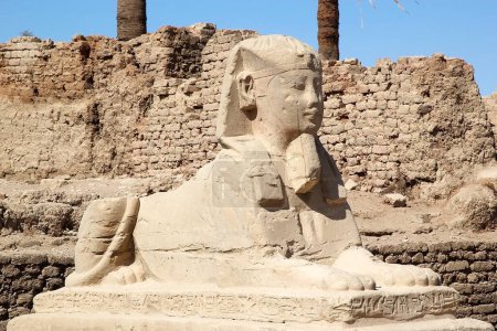 Téléchargez les photos : Luxor dromos, une avenue de shpynx à tête humaine qui reliait autrefois les temples de Karnak et de Louxor, en Égypte - en image libre de droit