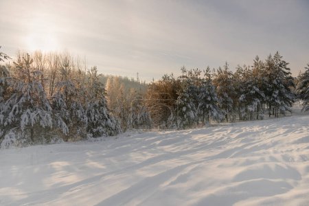 Foto de Invierno, paisaje helado en Podlasie. Polonia - Imagen libre de derechos