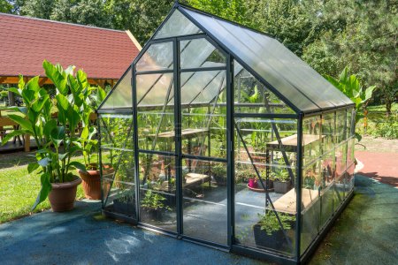 Greenhouse in the garden. Glass small compact greenhouse for growing flowers, vegetables, seedlings of various plants. Gardening. Beautiful glass building house in yard. Hobby no dig.
